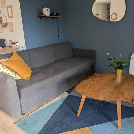 Apartamento Familial Piscine - Proche Gare Et Tram *